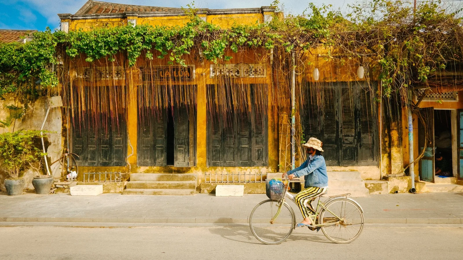 Một người đạp xe ngang qua ngôi nhà vàng cổ phủ dây leo với cửa gỗ ở phố cổ Hội An.